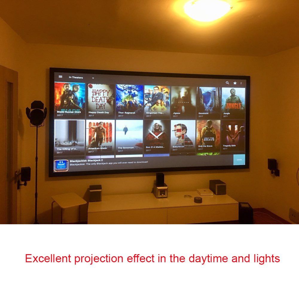 Salange プロジェクタースクリーン、60 100 12 - Projector Screen 100 Inch のレビューと価格